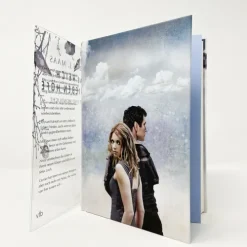 dtv Verlagsgesellschaft Liebesromane|Fantasy*Das Reich der sieben Höfe 4 - Frost und Mondlicht