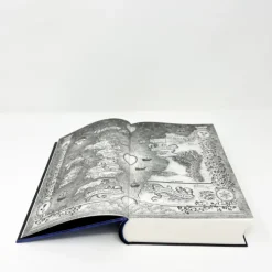 dtv Verlagsgesellschaft Fantasy-Das Reich der sieben Höfe - Silbernes Feuer