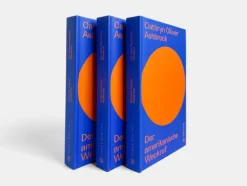 Brandstätter Verlag Politik|Sachbücher-Der amerikanische Weckruf