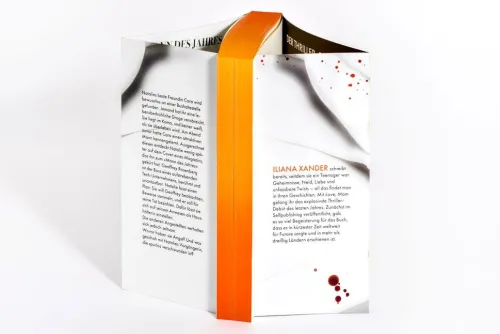 Der Boss - Ist er ein Monster oder ein Genie?*Heyne Taschenbuch