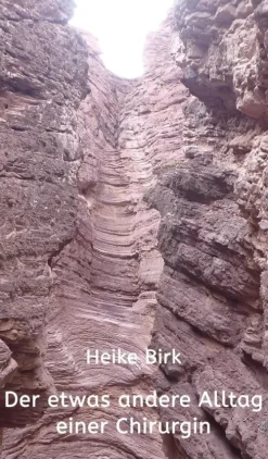 tredition Geschichte-Der etwas andere Alltag einer Chirurgin