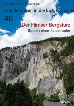 Der Flimser Bergsturz*Pfeil, Dr. Friedrich New