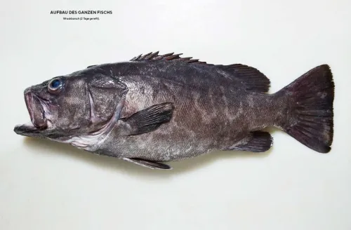 Der ganze Fisch: Rezepte von der Flosse bis zur Kieme*Prestel Verlag New