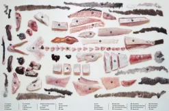 Der ganze Fisch: Rezepte von der Flosse bis zur Kieme*Prestel Verlag New