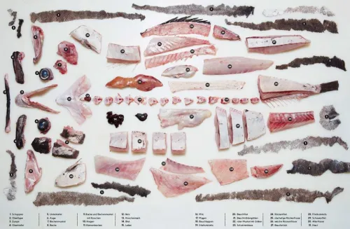 Der ganze Fisch: Rezepte von der Flosse bis zur Kieme*Prestel Verlag New