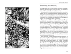 Pala- Verlag GmbH Umweltwissenschaft-Der Große Weg hat kein Tor