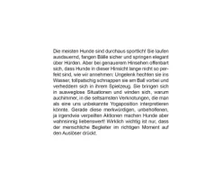 DuMont Buchverlag GmbH Nach Zielgruppen*Der herabschauende Hund