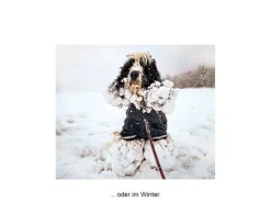 DuMont Buchverlag GmbH Nach Zielgruppen*Der herabschauende Hund