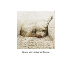 DuMont Buchverlag GmbH Nach Zielgruppen*Der herabschauende Hund