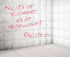 Knaur Taschenbuch Krimis & Thriller|Psychothriller*Der Insasse