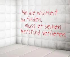 Knaur Taschenbuch Krimis & Thriller|Psychothriller*Der Insasse