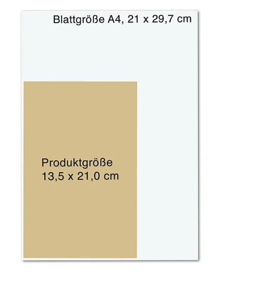 Der Kurator*Droemer Taschenbuch Clearance