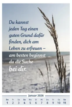 PAL Wandkalender*Der Lebensfreude-Kalender 2026