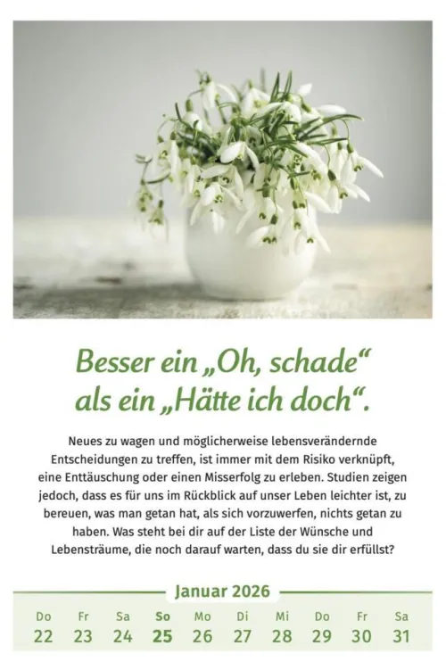 PAL Wandkalender*Der Lebensfreude-Kalender 2026