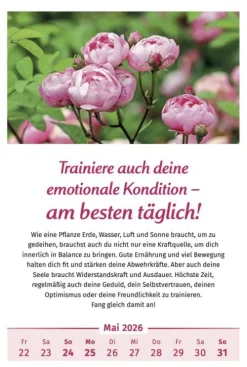 PAL Wandkalender*Der Lebensfreude-Kalender 2026