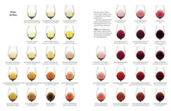 Heyne Verlag Wein & Getränke*Der Master-Wein-Guide