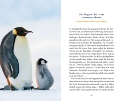dtv Verlagsgesellschaft Ratgeber|Lebensratgeber-Der Pinguin, der fliegen lernte