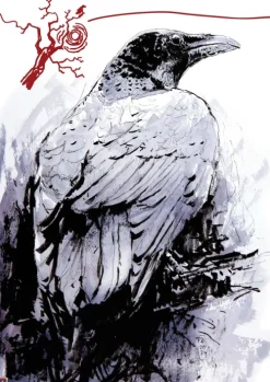 Splitter Verlag Graphic Novels*Der Rabe / The Raven