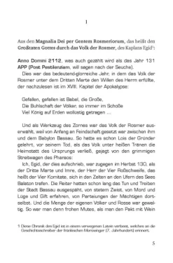 Südost-Verlag Nahe Zukunft*Der Untergang der Stadt Passau