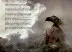 Coppenrath Klassische Horrorgeschichten|Horror-Der Untergang des Hauses Usher