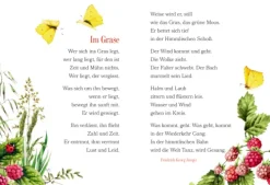 Der Weg zum Glück führt durch den Garten*Coppenrath Clearance