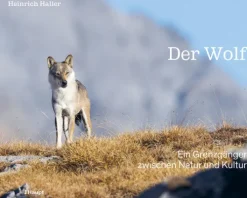 Haupt Verlag AG Biologie-Der Wolf