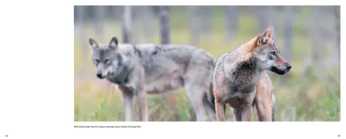 Haupt Verlag AG Biologie-Der Wolf