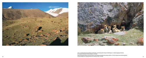 Haupt Verlag AG Biologie-Der Wolf