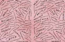 Kinder NordSüd Verlag AG 3-6 Jahre-Der Wortschatz: Bilderbuch-Bestseller über den spielerischen Umgang mit Sprache