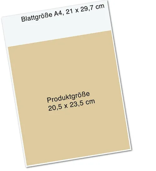 Der Wunschfisch*Pattloch Geschenkbuch Discount