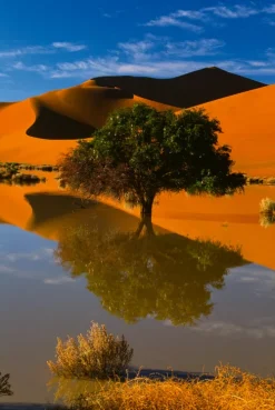 teNeues Verlag GmbH Reisen, Orte & Menschen*Deserts