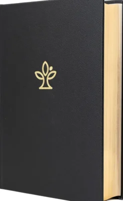 Katholisches Bibelwerk Theologie*Die Bibel. Leder, Großdruck. Mit Familienchronik.