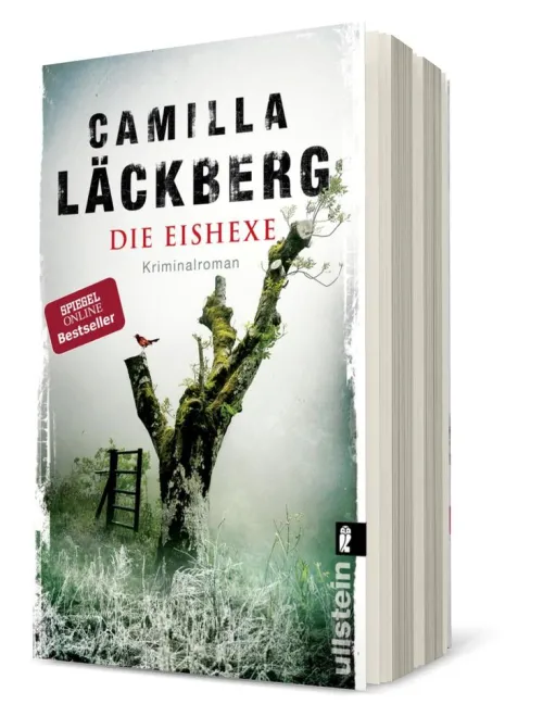 Die Eishexe*Ullstein Taschenbuchvlg. Outlet