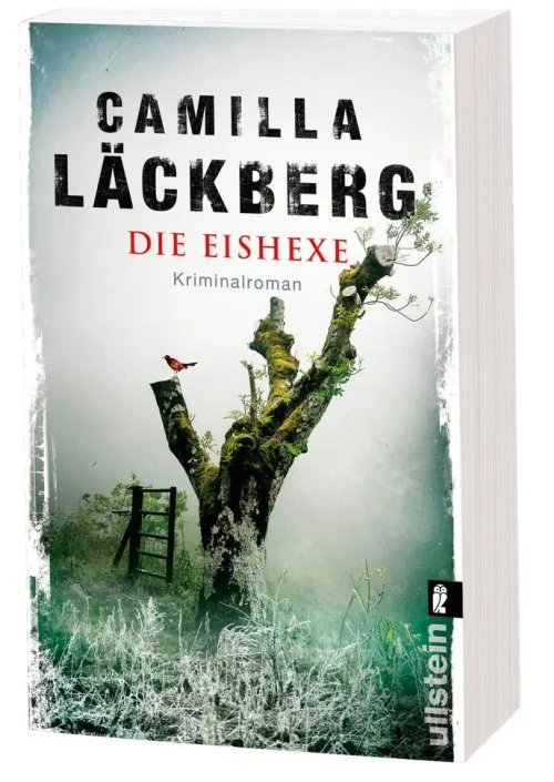 Die Eishexe*Ullstein Taschenbuchvlg. Outlet