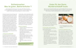 ZS Verlag Gesundheit*Die Ernährungs-Docs - Gesund abnehmen mit der Darm-fit-Formel