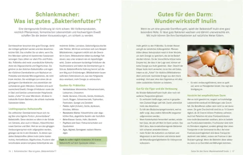 ZS Verlag Gesundheit*Die Ernährungs-Docs - Gesund abnehmen mit der Darm-fit-Formel