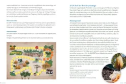 Herder Verlag GmbH Nachhaltigkeit*Die faire Kita