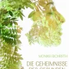 dielus edition Gesundheit*Die Geheimnisse des gesunden Schlafs