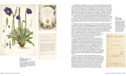 Die Geschichte der Botanik in 300 Büchern*Haupt Verlag AG Outlet