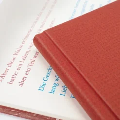 Carl Hanser Verlag Lgbtqia+*Die Geschichte des Klangs