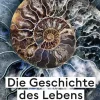 Die Geschichte des Lebens*FISCHER, S. Discount