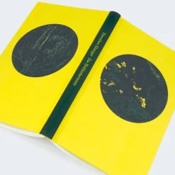 Carl Hanser Verlag Nach Ländern|Literatur*Die Holländerinnen