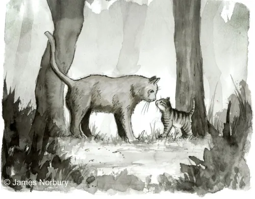 Goldmann Verlag Märchen & Sagen*Die Katze, die nach Weisheit sucht