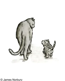 Goldmann Verlag Märchen & Sagen*Die Katze, die nach Weisheit sucht