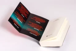 Die Komplizin - Ihr Mann ist ein Serienkiller. Was ist sie - Täterin oder Opfer?*Goldmann TB Sale