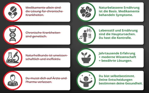 Die Krankheitslügen - Was man macht, um nicht krank zu werden.*Dt. Gesundheitsbuchverlag Clearance