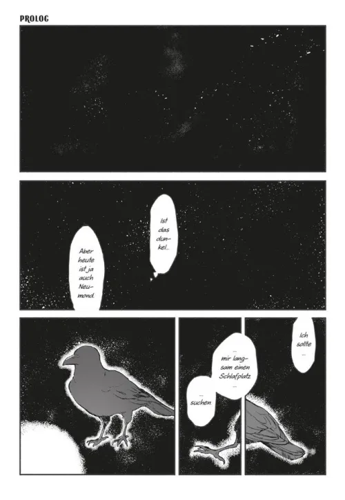 Die Reise des Mondbären*Carlsen Verlag GmbH Best