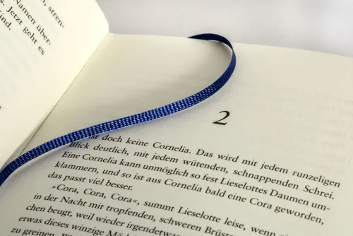 Die Riesinnen*Penguin Verlag New