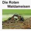 Wolf, VerlagsKG Biologie-Die Roten Waldameisen