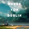 Die schlafenden Hunde von Dublin*Haymon Verlag Clearance